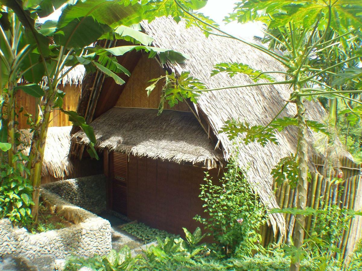 帕劳植物园度假村 科罗尔村 外观 照片